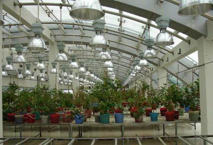 江南电子仪器厂 创新引领，打造电子设备智造新高地